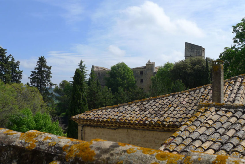 vue de terrasse MD copie