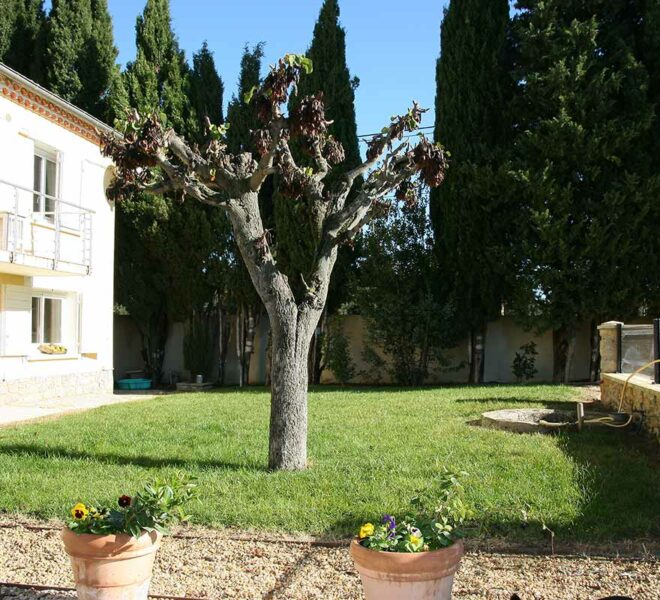 vente villa uzes