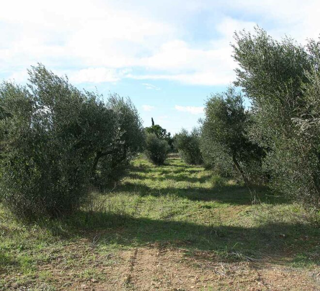 vente terrain uzes