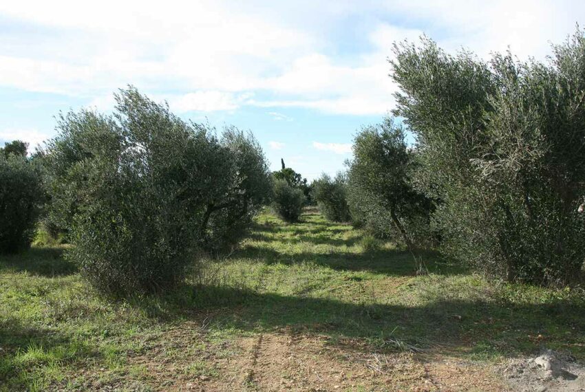 vente terrain uzes