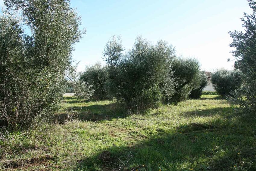 vente terrain uzes