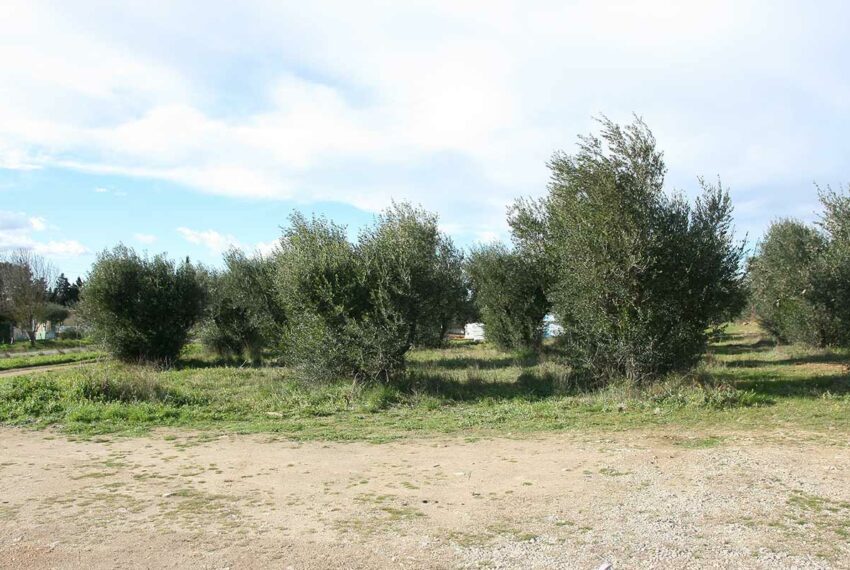 vente terrain uzes
