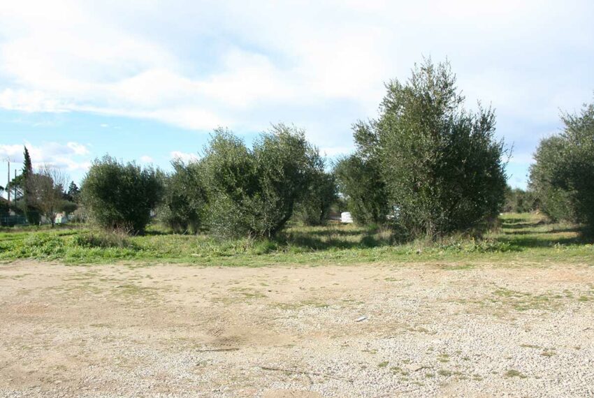vente terrain uzes