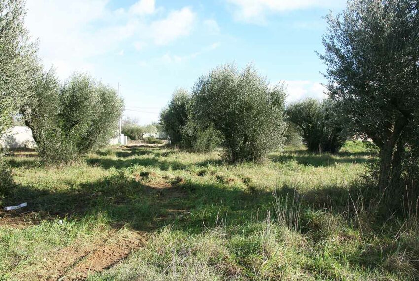 vente terrain uzes