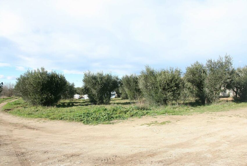 vente terrain uzes