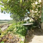 maison village terrasse